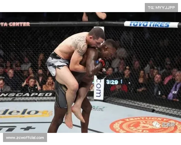 阿迪达斯携手劳力士共创新纪元 UFC赞助金额刷新全球纪录 阿迪达斯携手劳力士共创新纪元 UFC赞助金额刷新全球纪录